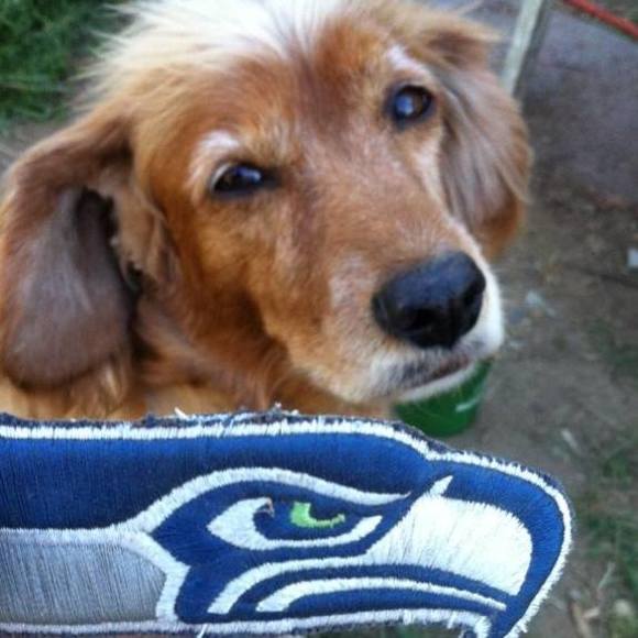 Meet your Posher, Joshua - Picture 1 of 1